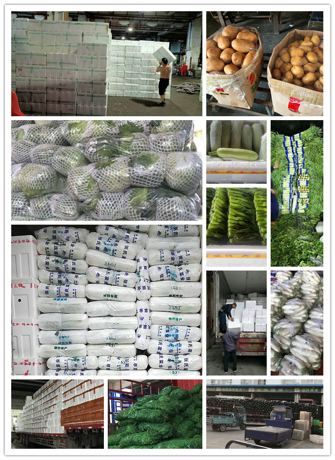 ��ҳ- �ڲ���������Ϊ��,רҵ����!