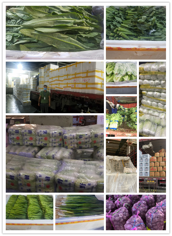 ��ҳ- �ڲ���������Ϊ��,רҵ����!