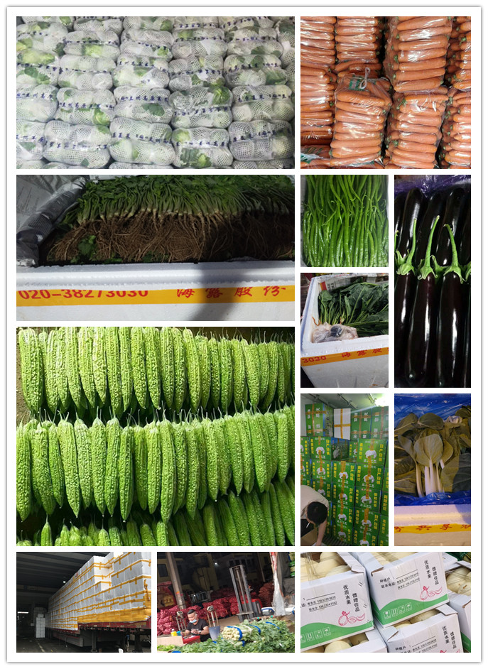 ��ҳ- �ڲ���������Ϊ��,רҵ����!