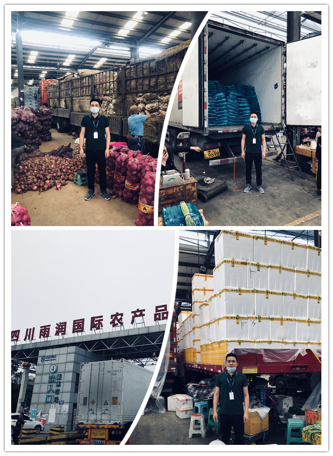 ��ҳ- �ڲ���������Ϊ��,רҵ����!