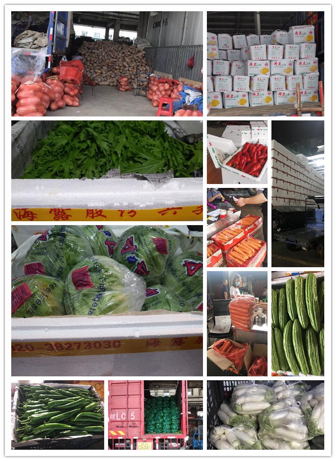 ��ҳ- �ڲ���������Ϊ��,רҵ����!