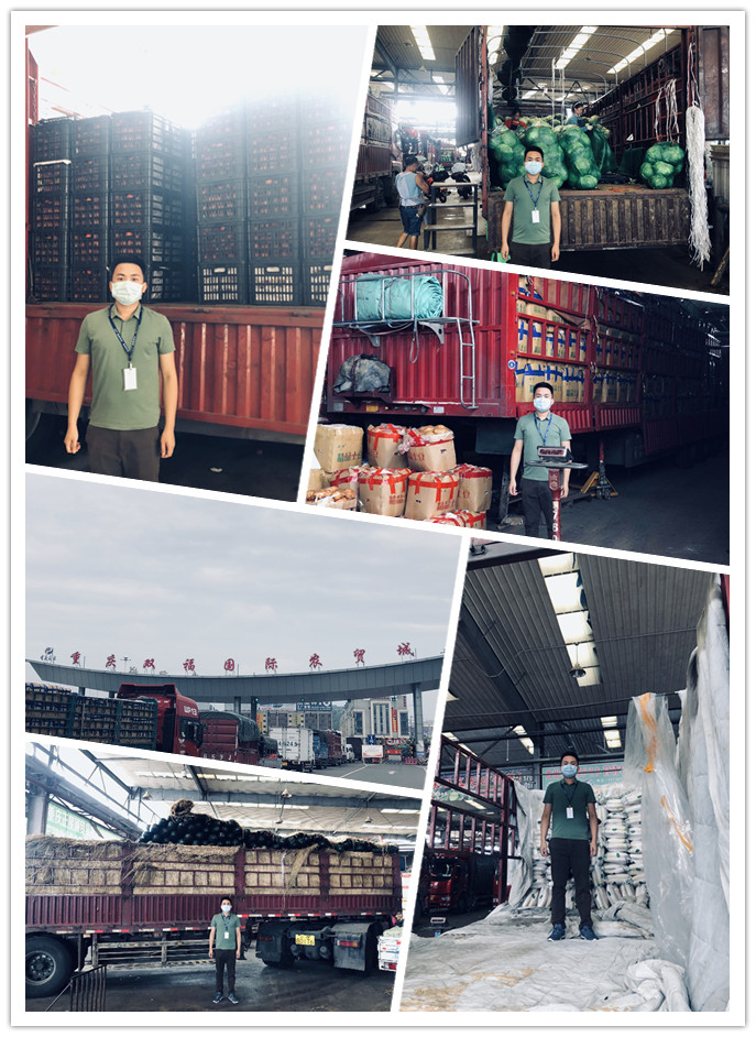 ��ҳ- �ڲ���������Ϊ��,רҵ����!