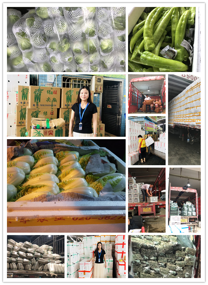 ��ҳ- �ڲ���������Ϊ��,רҵ����!