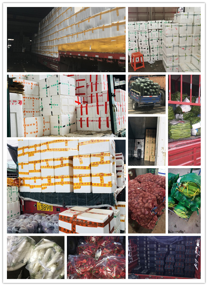 ��ҳ- �ڲ���������Ϊ��,רҵ����!