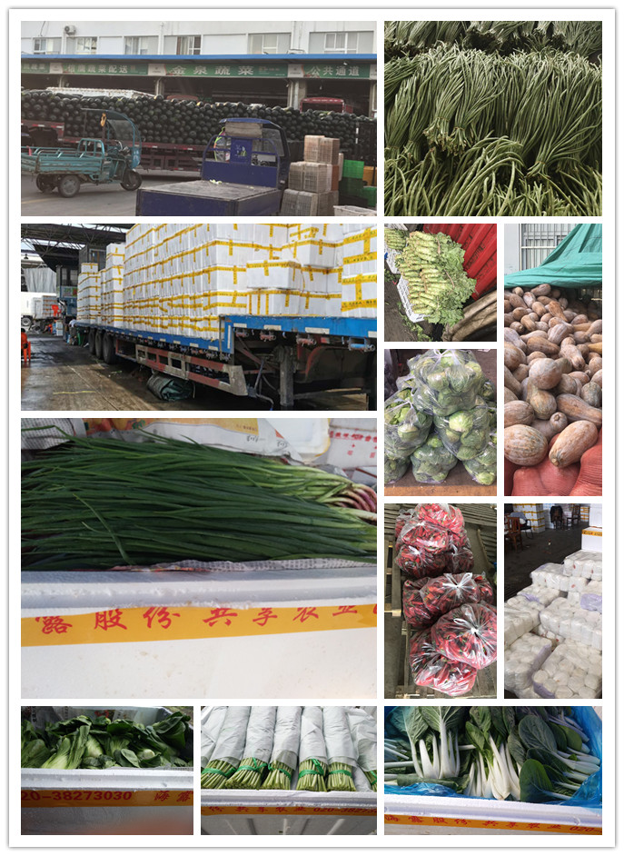 ��ҳ- �ڲ���������Ϊ��,רҵ����!