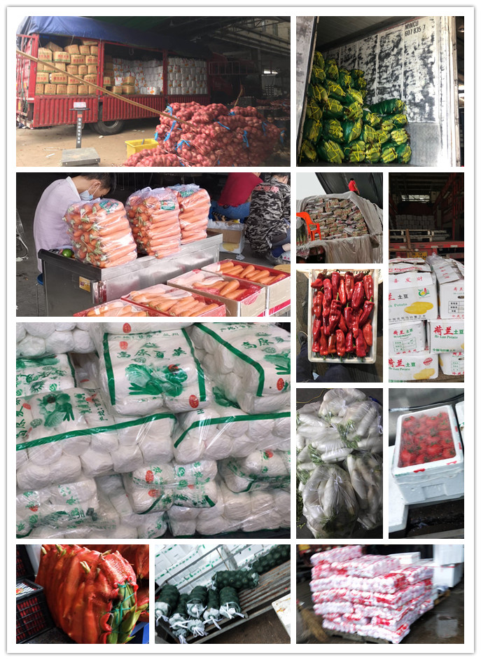 ��ҳ- �ڲ���������Ϊ��,רҵ����!