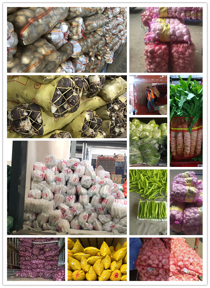 ��ҳ- �ڲ���������Ϊ��,רҵ����!