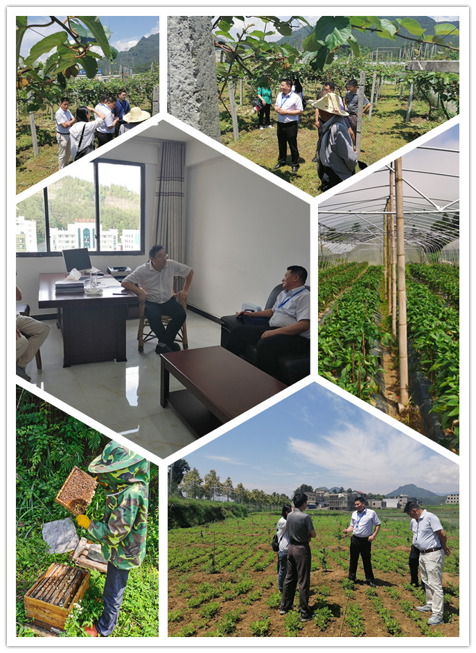 ��ҳ- �ڲ���������Ϊ��,רҵ����!