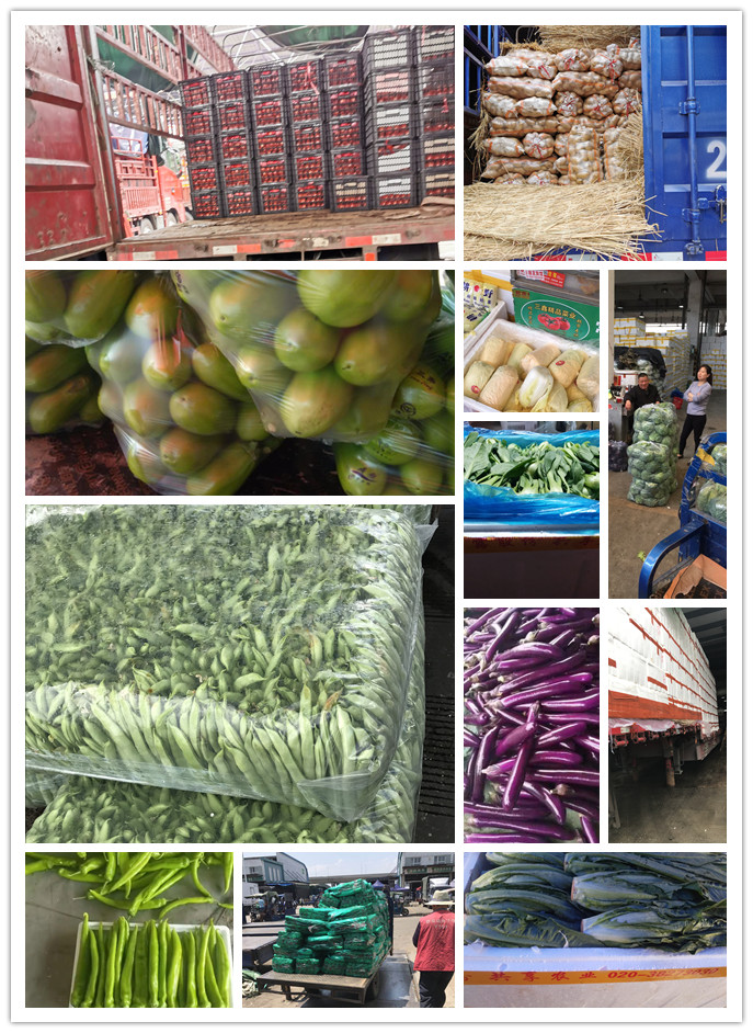 ��ҳ- �ڲ���������Ϊ��,רҵ����!