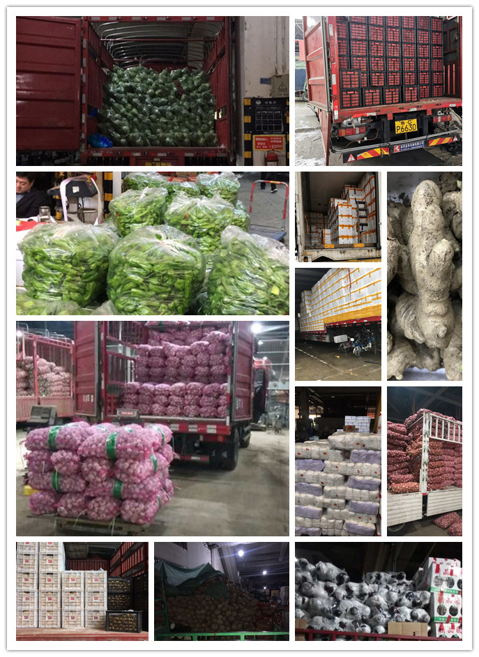 ��ҳ- �ڲ���������Ϊ��,רҵ����!