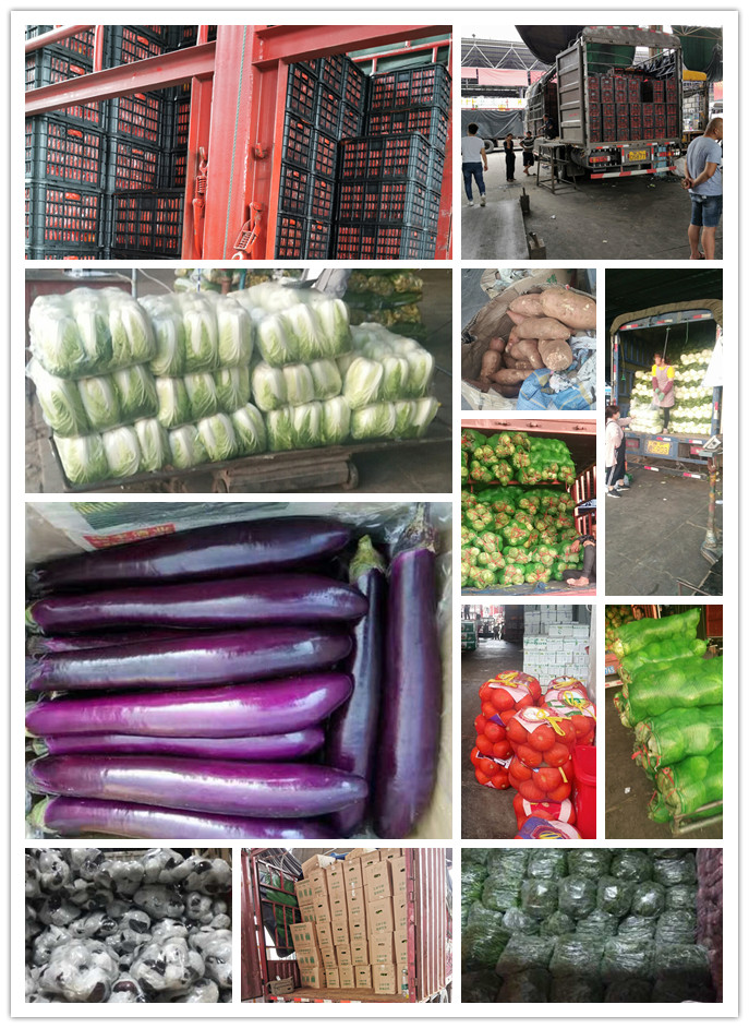 ��ҳ- �ڲ���������Ϊ��,רҵ����!