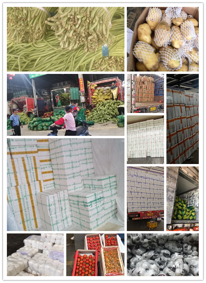 ��ҳ- �ڲ���������Ϊ��,רҵ����!