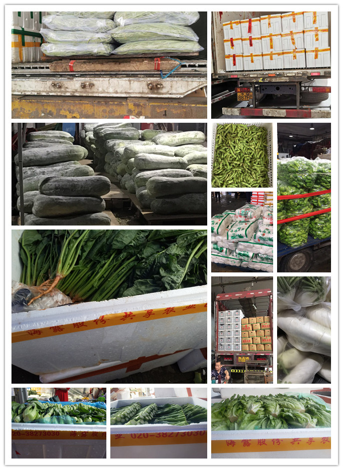 ��ҳ- �ڲ���������Ϊ��,רҵ����!