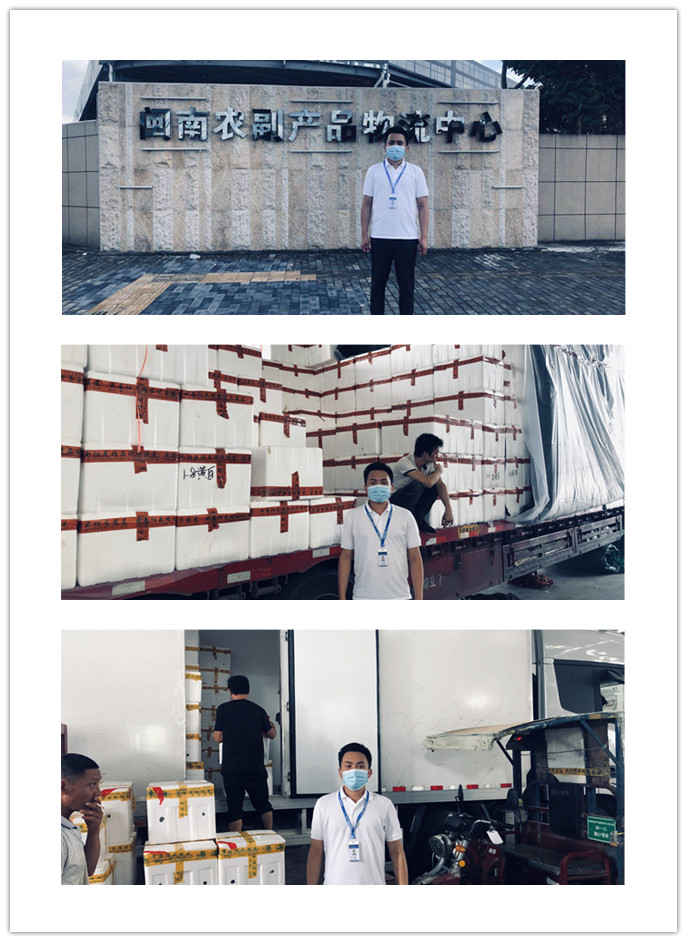 ��ҳ- �ڲ���������Ϊ��,רҵ����!