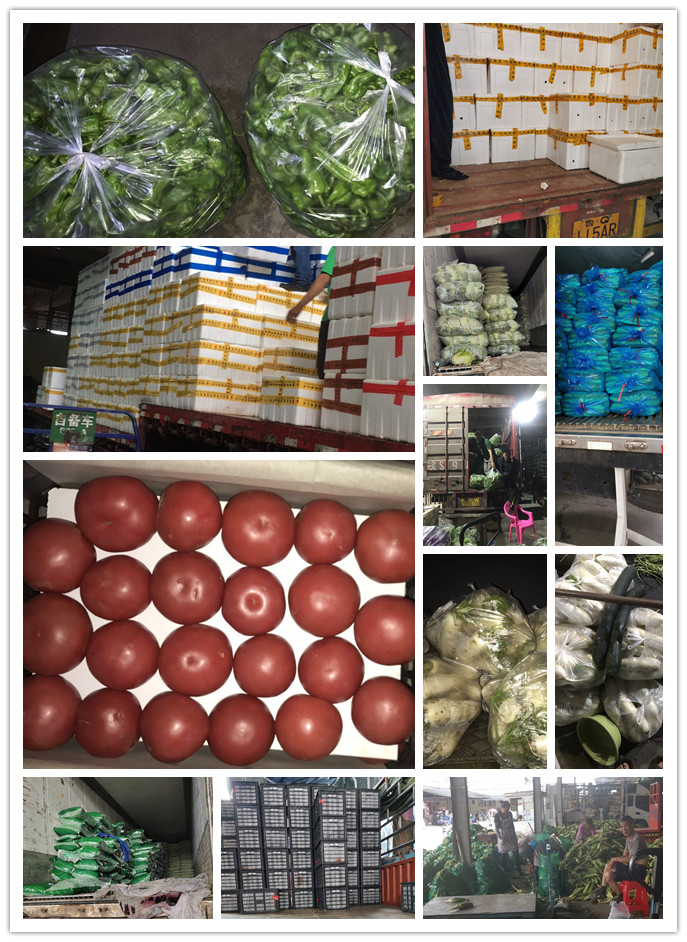 ��ҳ- �ڲ���������Ϊ��,רҵ����!