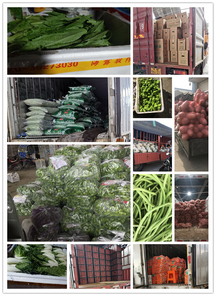 ��ҳ- �ڲ���������Ϊ��,רҵ����!