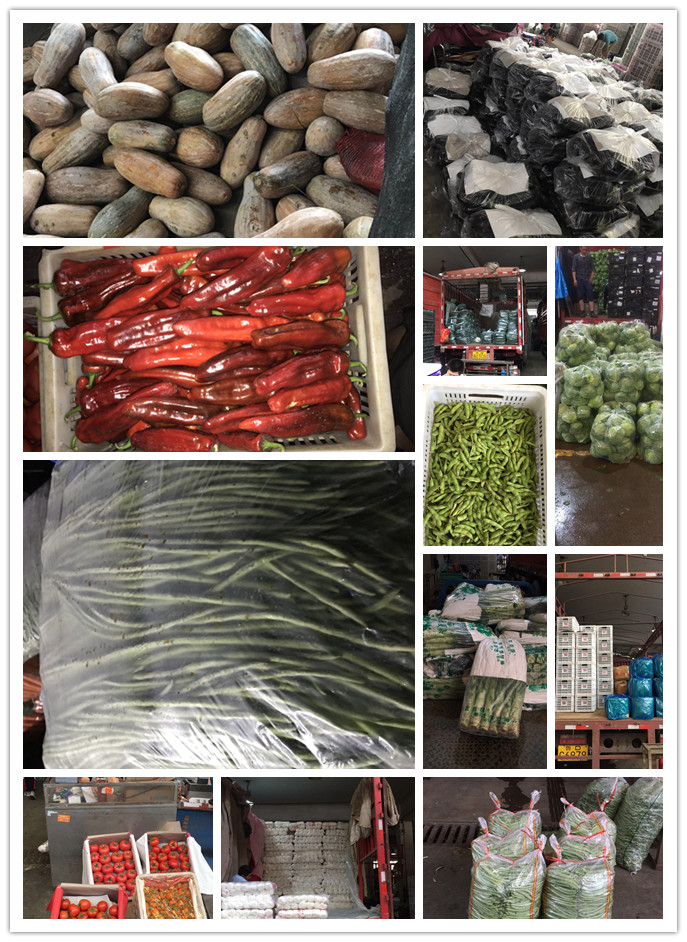 ��ҳ- �ڲ���������Ϊ��,רҵ����!