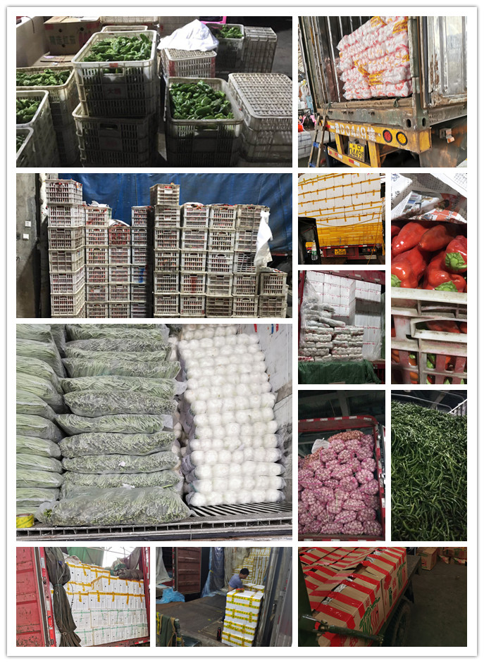 ��ҳ- �ڲ���������Ϊ��,רҵ����!