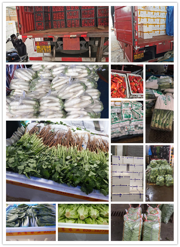 ��ҳ- �ڲ���������Ϊ��,רҵ����!