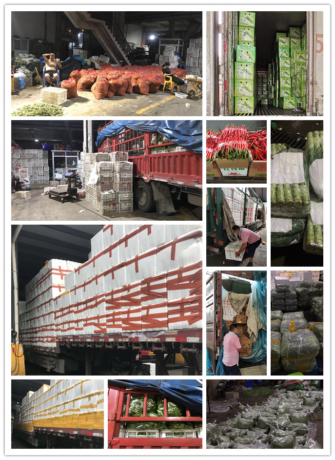 ��ҳ- �ڲ���������Ϊ��,רҵ����!