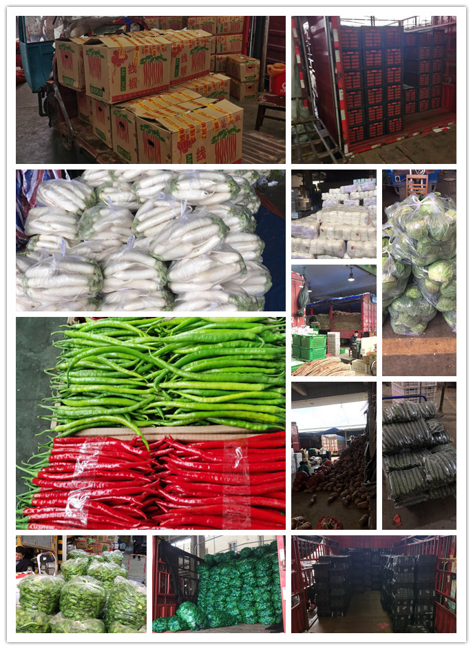 ��ҳ- �ڲ���������Ϊ��,רҵ����!