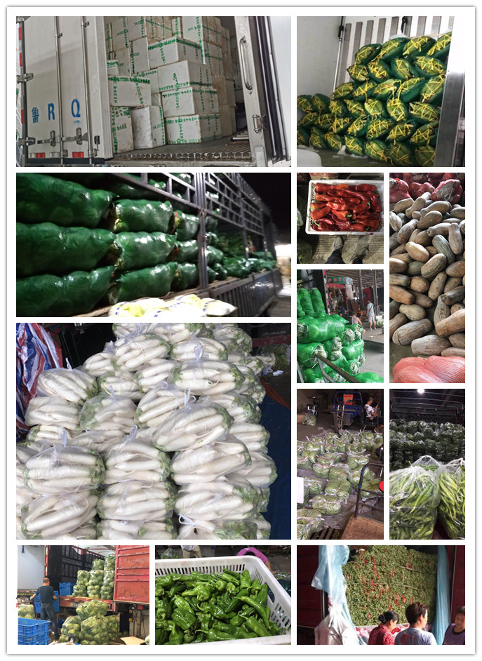 ��ҳ- �ڲ���������Ϊ��,רҵ����!