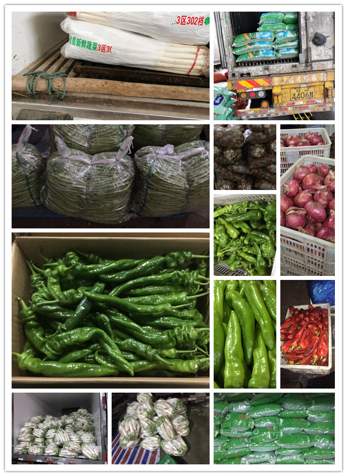 ��ҳ- �ڲ���������Ϊ��,רҵ����!