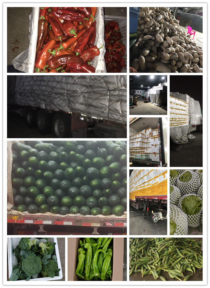 ��ҳ- �ڲ���������Ϊ��,רҵ����!