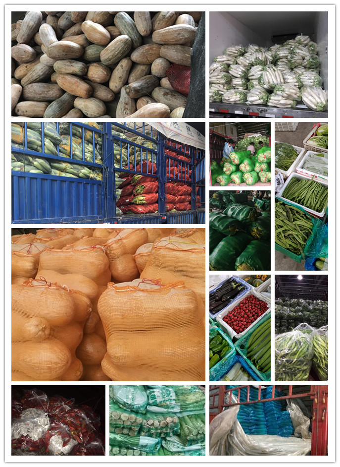 ��ҳ- �ڲ���������Ϊ��,רҵ����!