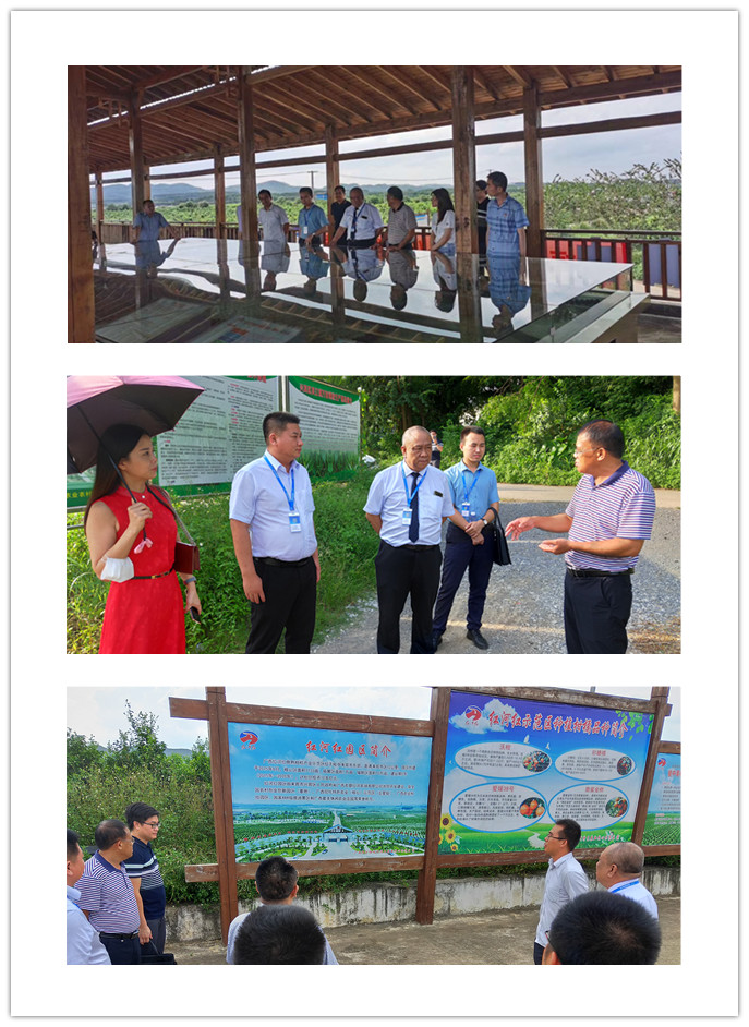 ��ҳ- �ڲ���������Ϊ��,רҵ����!