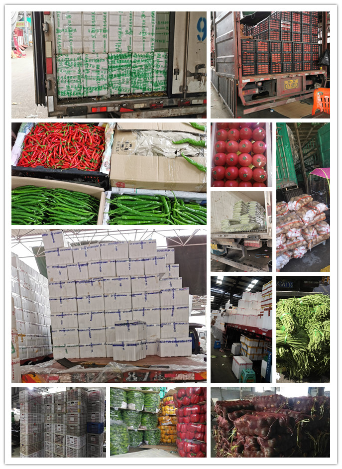 ��ҳ- �ڲ���������Ϊ��,רҵ����!