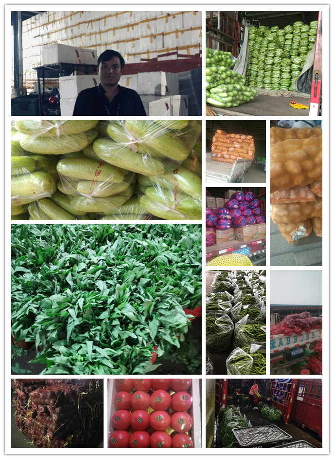 ��ҳ- �ڲ���������Ϊ��,רҵ����!