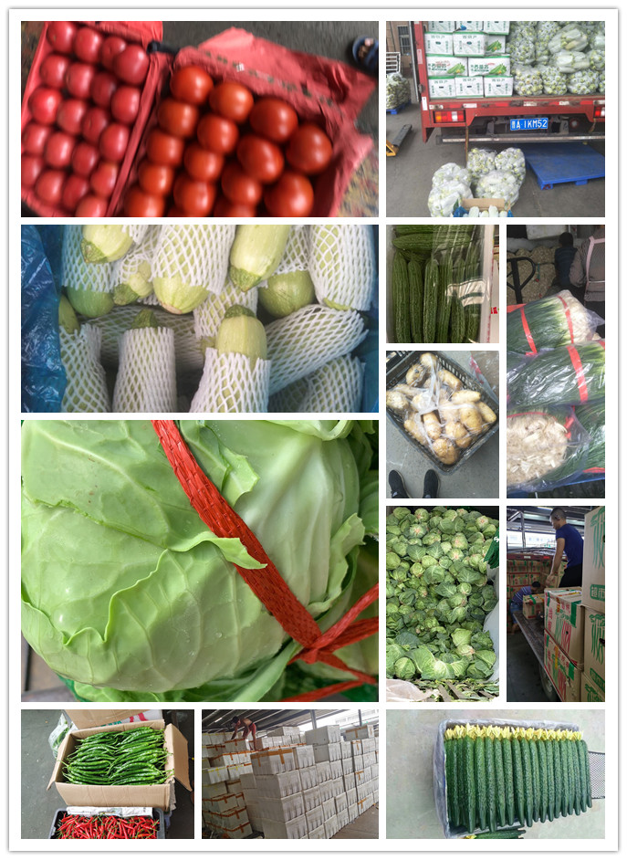 ��ҳ- �ڲ���������Ϊ��,רҵ����!