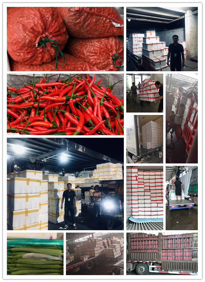 ��ҳ- �ڲ���������Ϊ��,רҵ����!