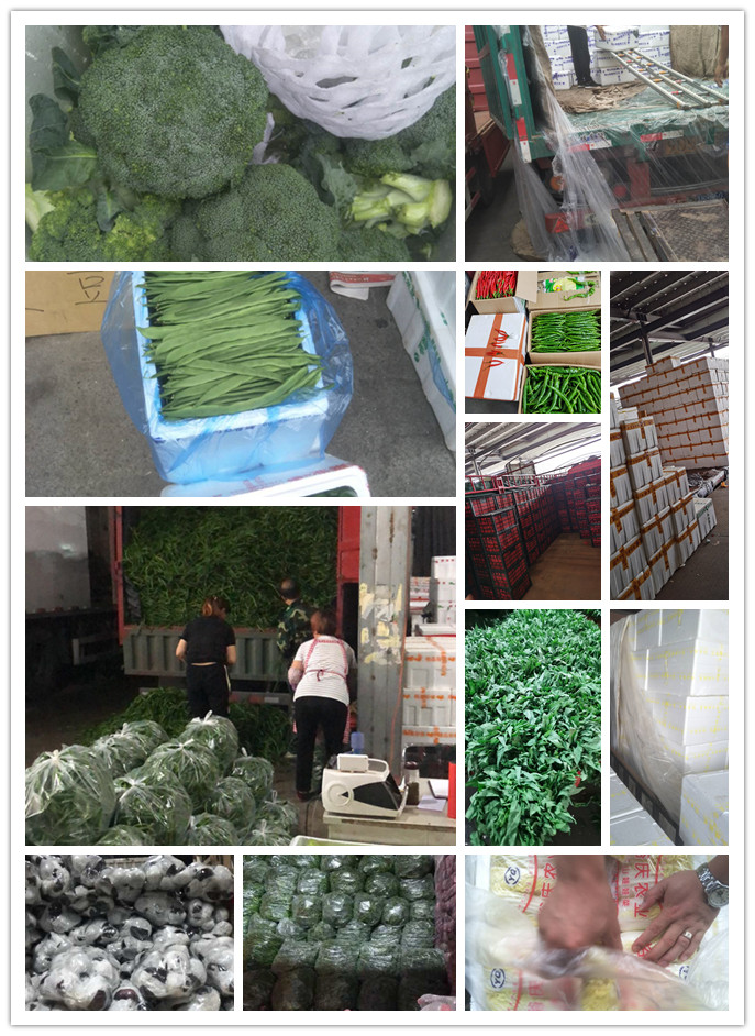 ��ҳ- �ڲ���������Ϊ��,רҵ����!