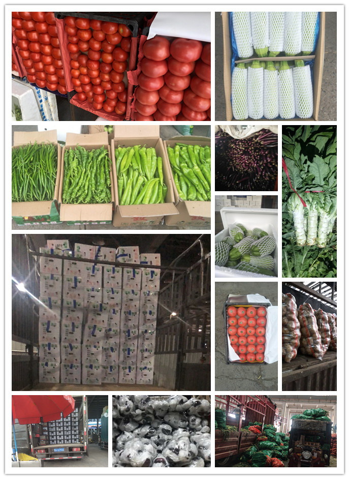 ��ҳ- �ڲ���������Ϊ��,רҵ����!