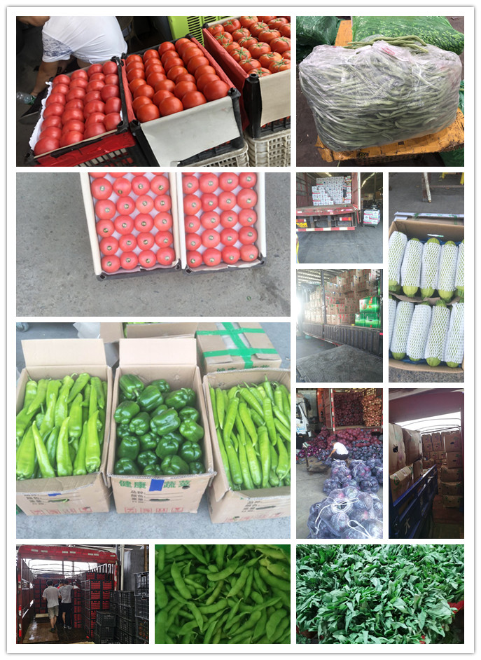 ��ҳ- �ڲ���������Ϊ��,רҵ����!