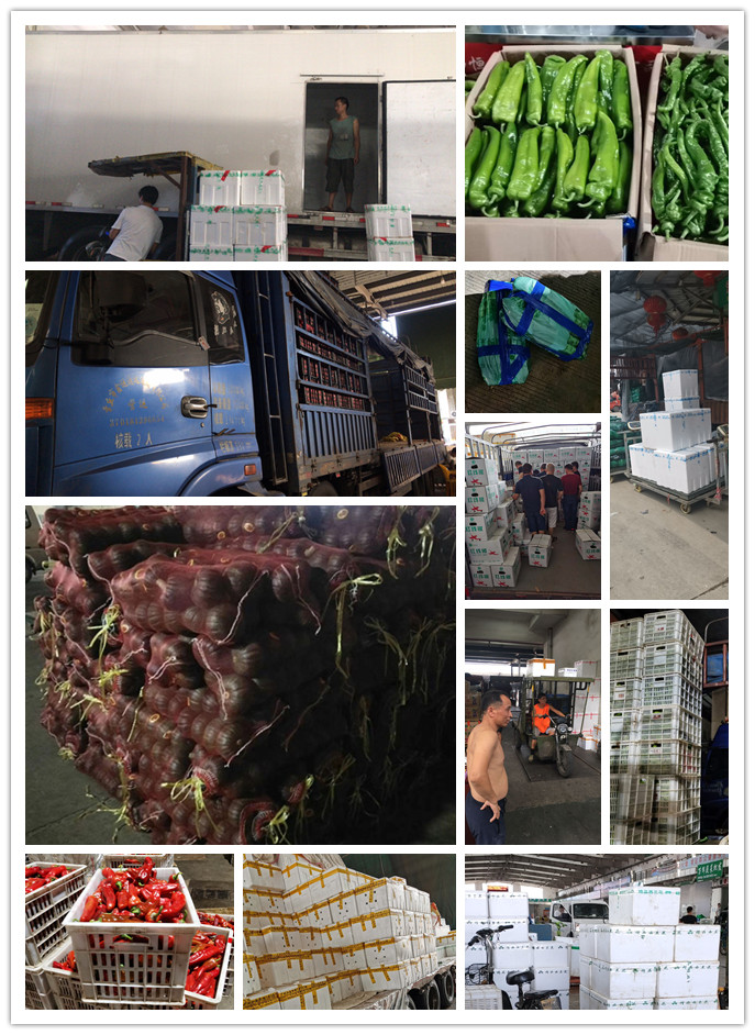 ��ҳ- �ڲ���������Ϊ��,רҵ����!