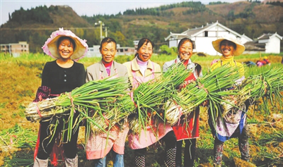 ��ҳ- �ڲ���������Ϊ��,רҵ����!