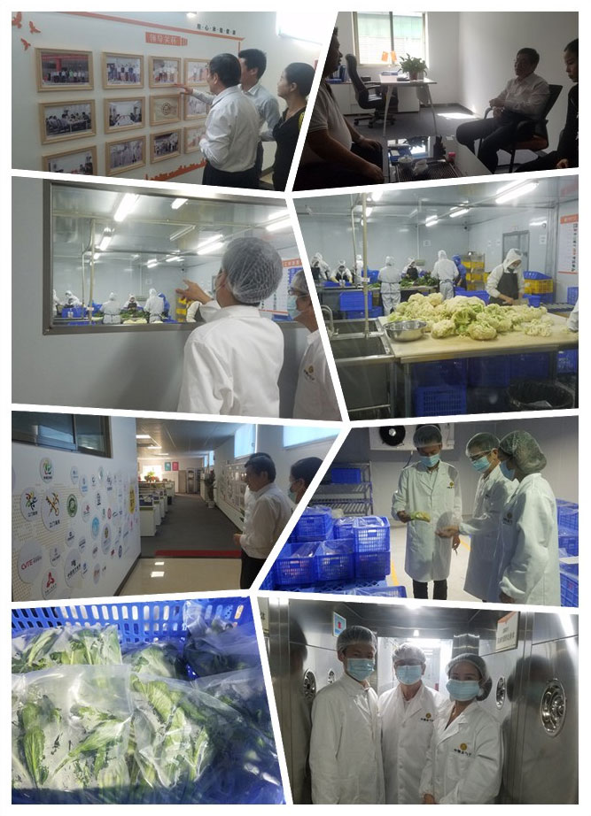 ��ҳ- �ڲ���������Ϊ��,רҵ����!