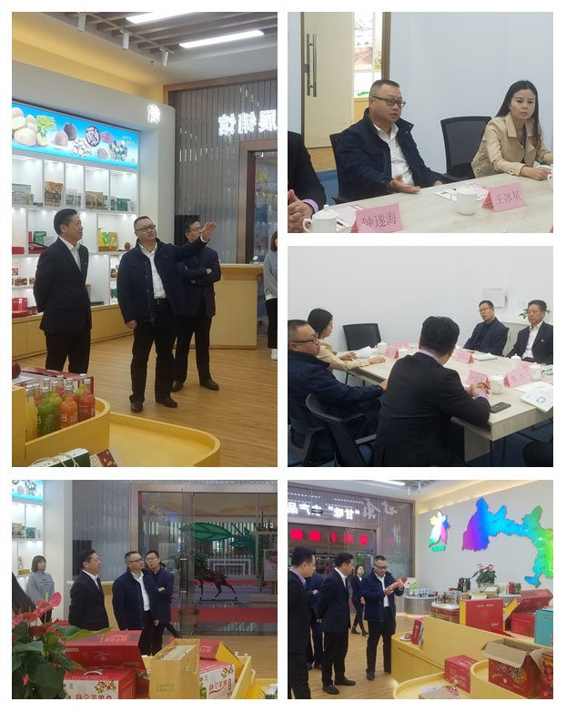 ��ҳ- �ڲ���������Ϊ��,רҵ����!