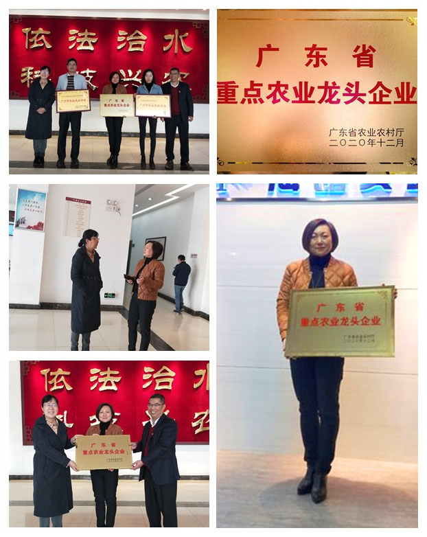 ��ҳ- �ڲ���������Ϊ��,רҵ����!