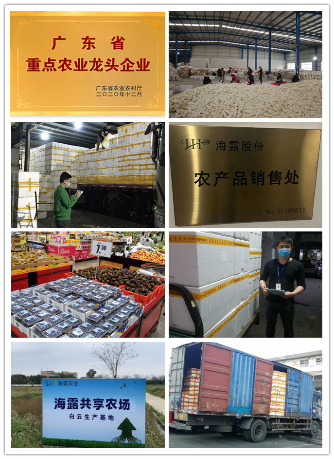 ��ҳ- �ڲ���������Ϊ��,רҵ����!