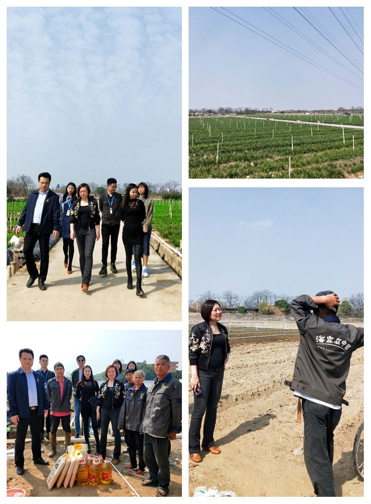 ��ҳ- �ڲ���������Ϊ��,רҵ����!