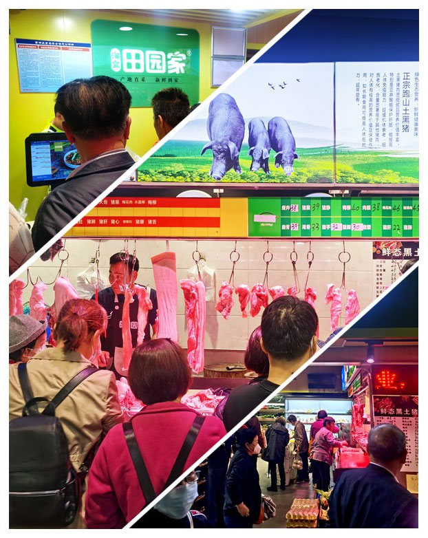 ��ҳ- �ڲ���������Ϊ��,רҵ����!