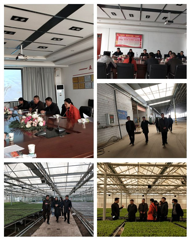 ��ҳ- �ڲ���������Ϊ��,רҵ����!