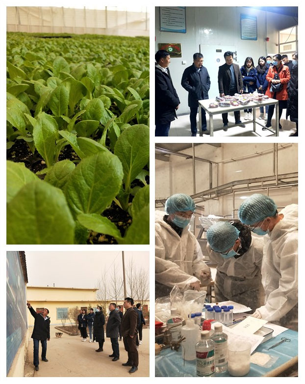 ��ҳ- �ڲ���������Ϊ��,רҵ����!