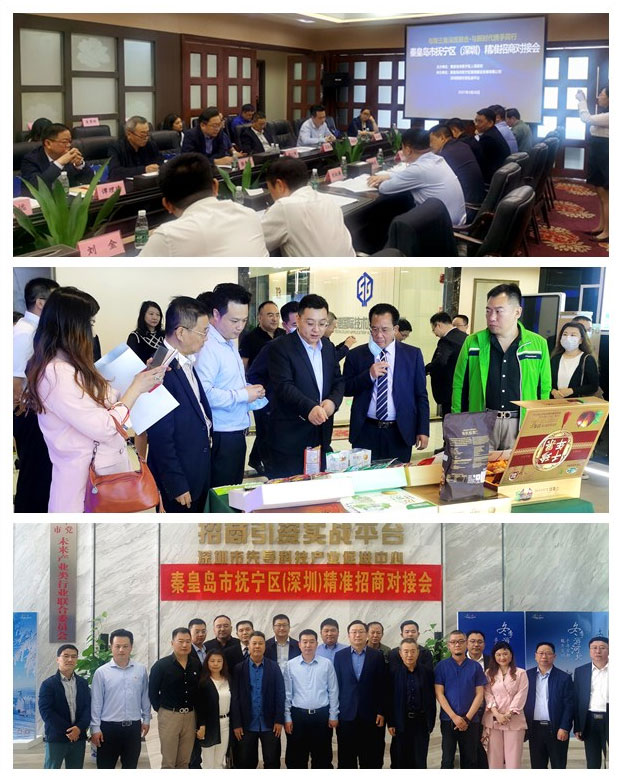 ��ҳ- �ڲ���������Ϊ��,רҵ����!