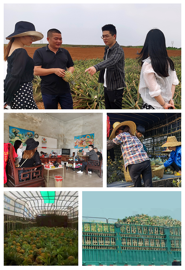 ��ҳ- �ڲ���������Ϊ��,רҵ����!