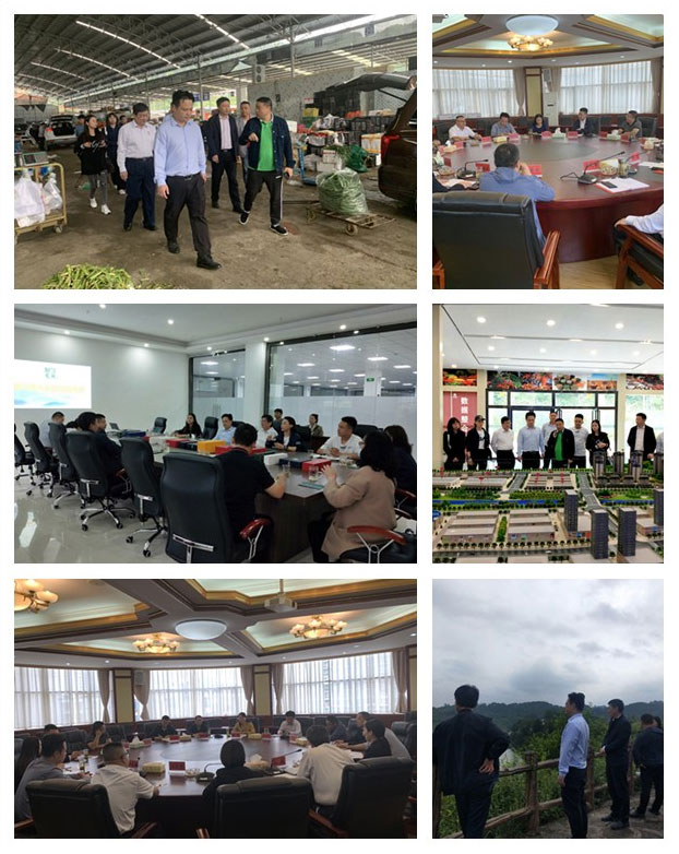 ��ҳ- �ڲ���������Ϊ��,רҵ����!